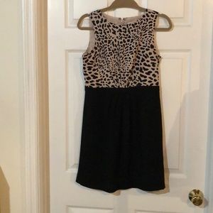 Loft mini dress